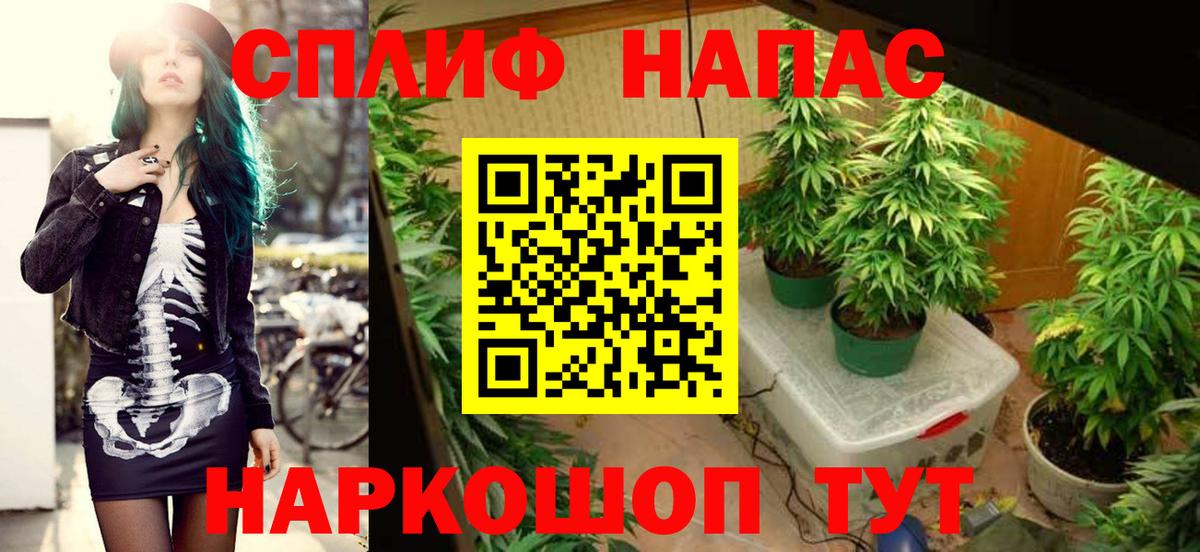 Бошки марихуана конопля  Вход с VPN  Бошки марихуана конопля  Жигулёвск 